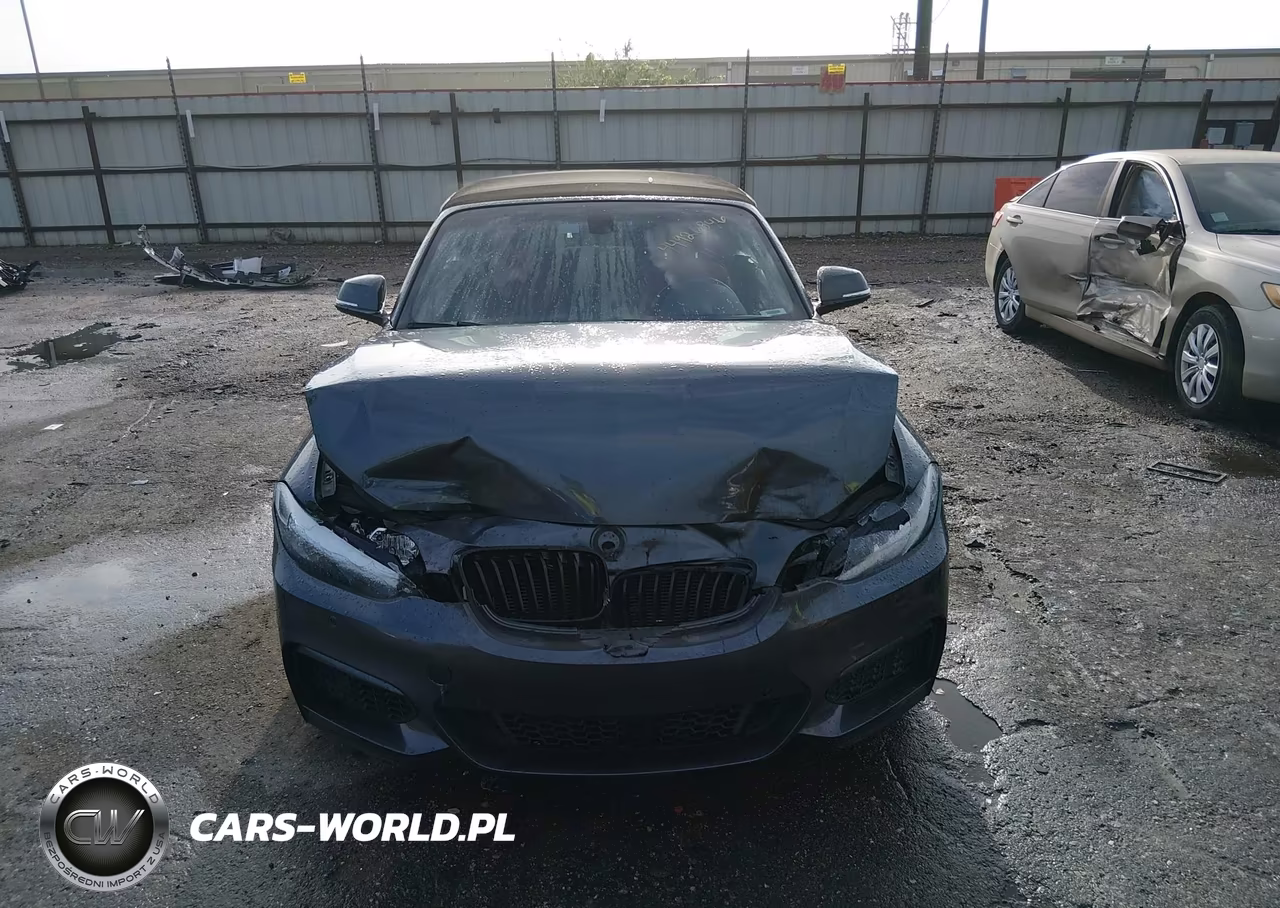 2016 BMW 228I xDrive VIN:WBA1L9C5XGV324932 - 12
