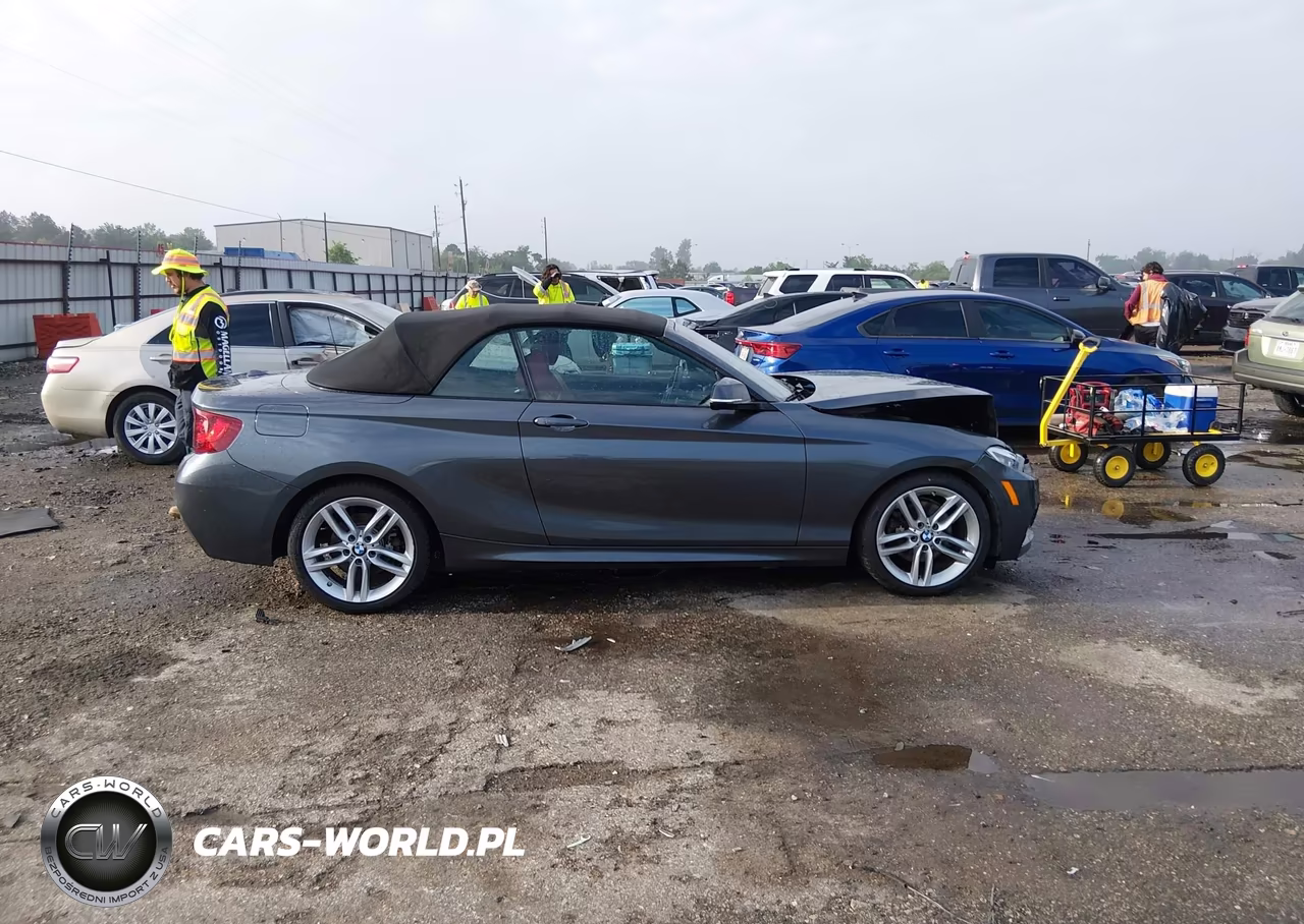 2016 BMW 228I xDrive VIN:WBA1L9C5XGV324932 - 13