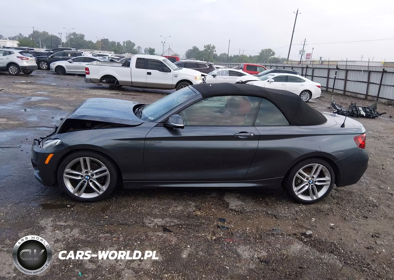 2016 BMW 228I xDrive VIN:WBA1L9C5XGV324932 - 14