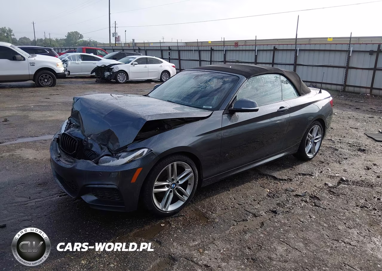 2016 BMW 228I xDrive VIN:WBA1L9C5XGV324932 - 2