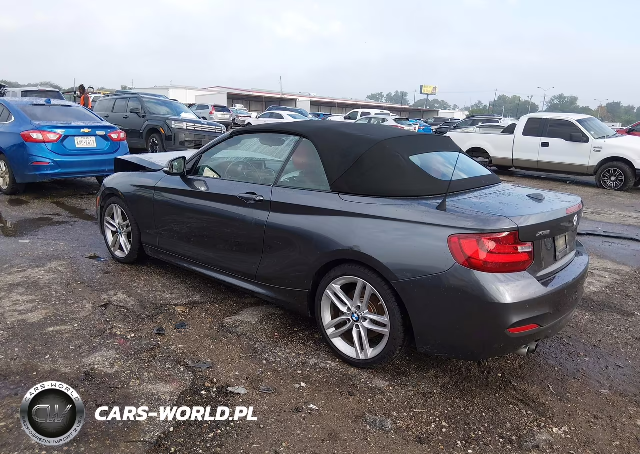 2016 BMW 228I xDrive VIN:WBA1L9C5XGV324932 - 3