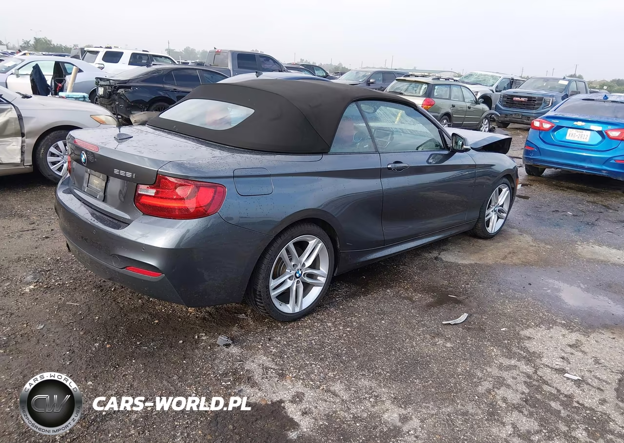 2016 BMW 228I xDrive VIN:WBA1L9C5XGV324932 - 4