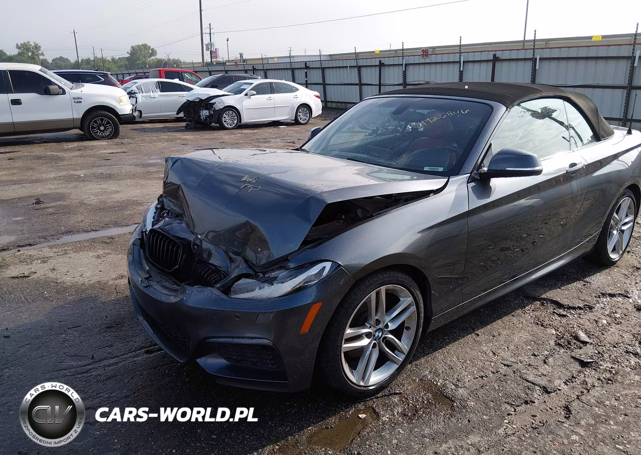 2016 BMW 228I xDrive VIN:WBA1L9C5XGV324932 - 6