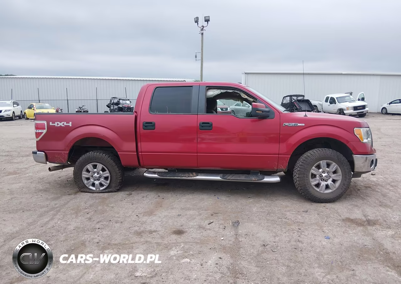 2010 Ford F-150 Xl-Xlt VIN:1FTEW1E84AKB33391 - 14