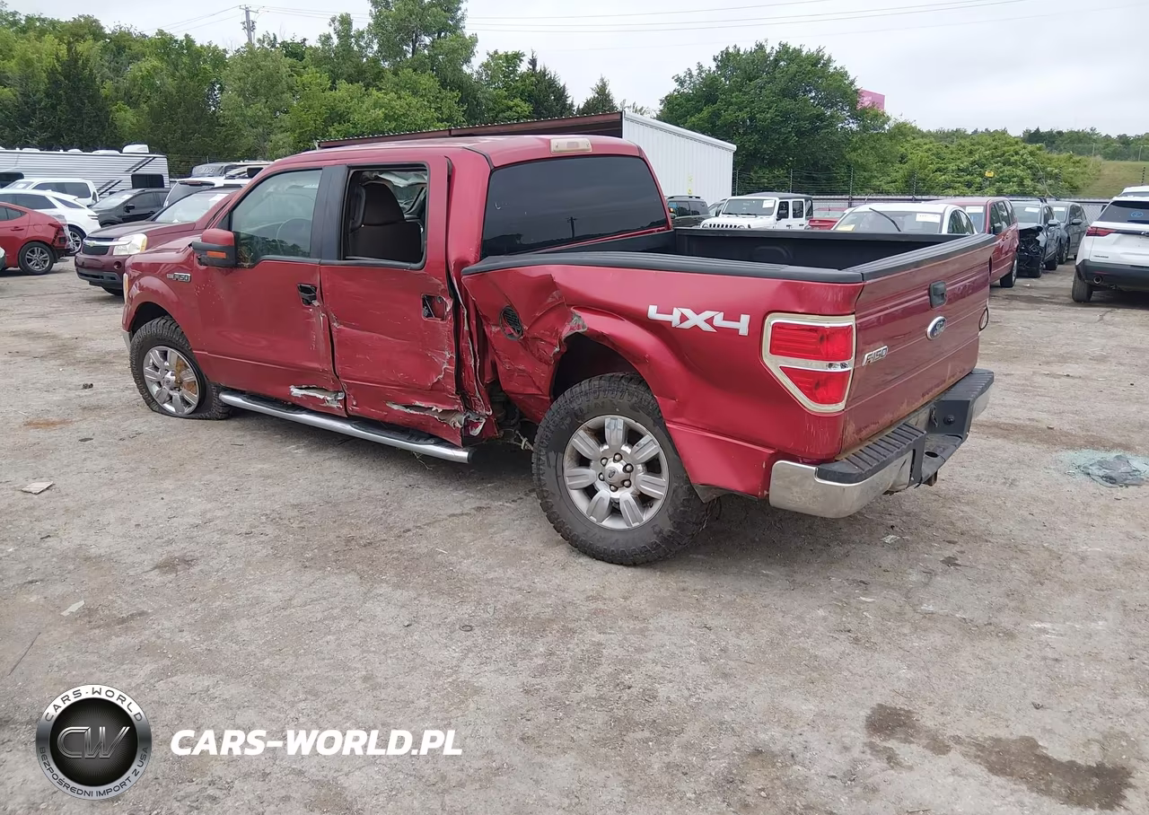 2010 Ford F-150 Xl-Xlt VIN:1FTEW1E84AKB33391 - 3