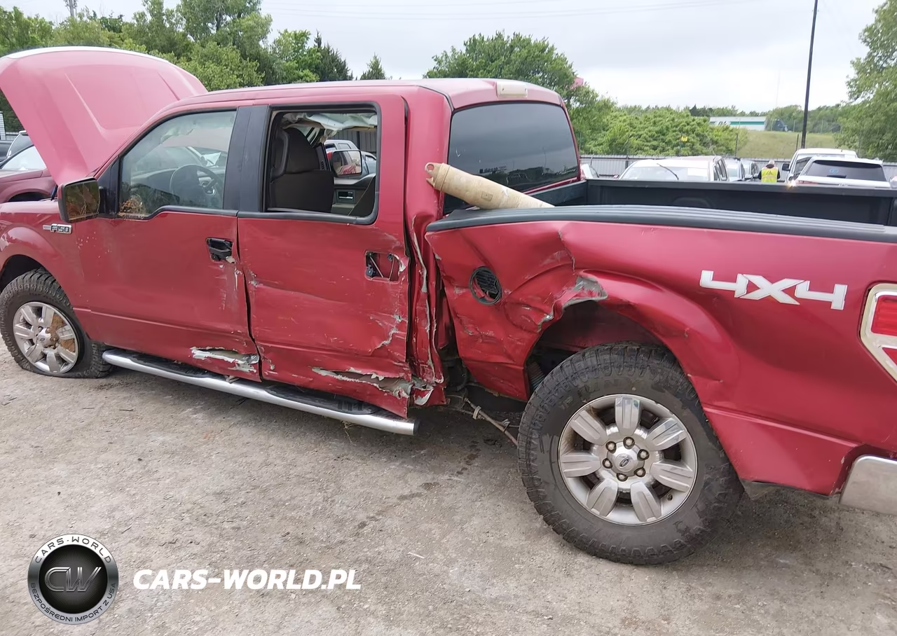 2010 Ford F-150 Xl-Xlt VIN:1FTEW1E84AKB33391 - 6