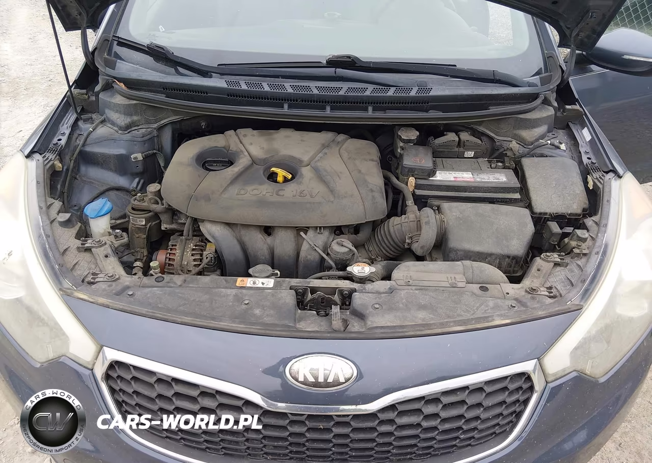 2014 Kia Forte Lx VIN:KNAFX4A65E5060251 - 10