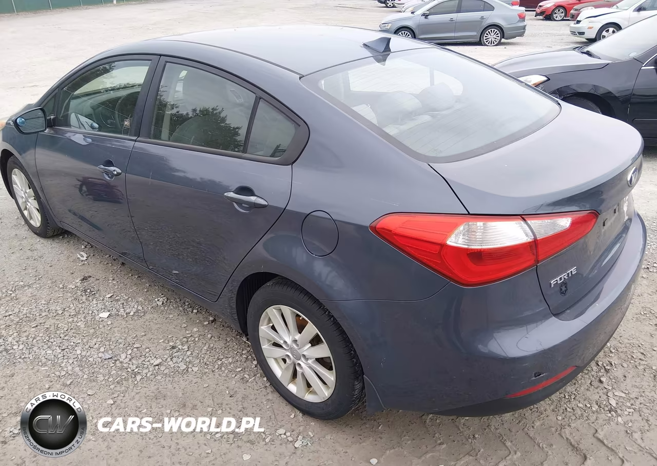 2014 Kia Forte Lx VIN:KNAFX4A65E5060251 - 3