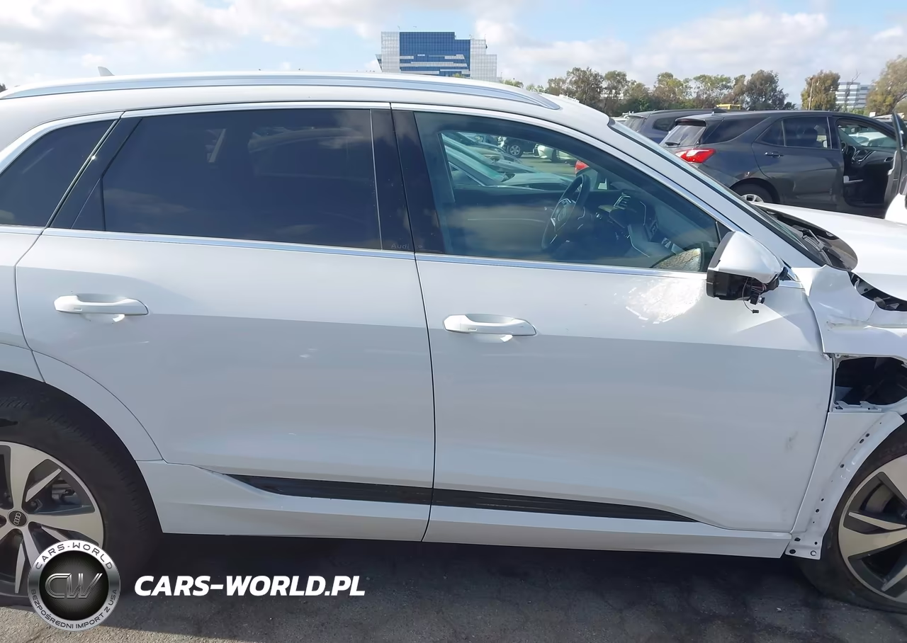 2024 Audi Q8 E-Tron Premium Plus Quattro VIN:WA15AAGE2RB008817 - 14
