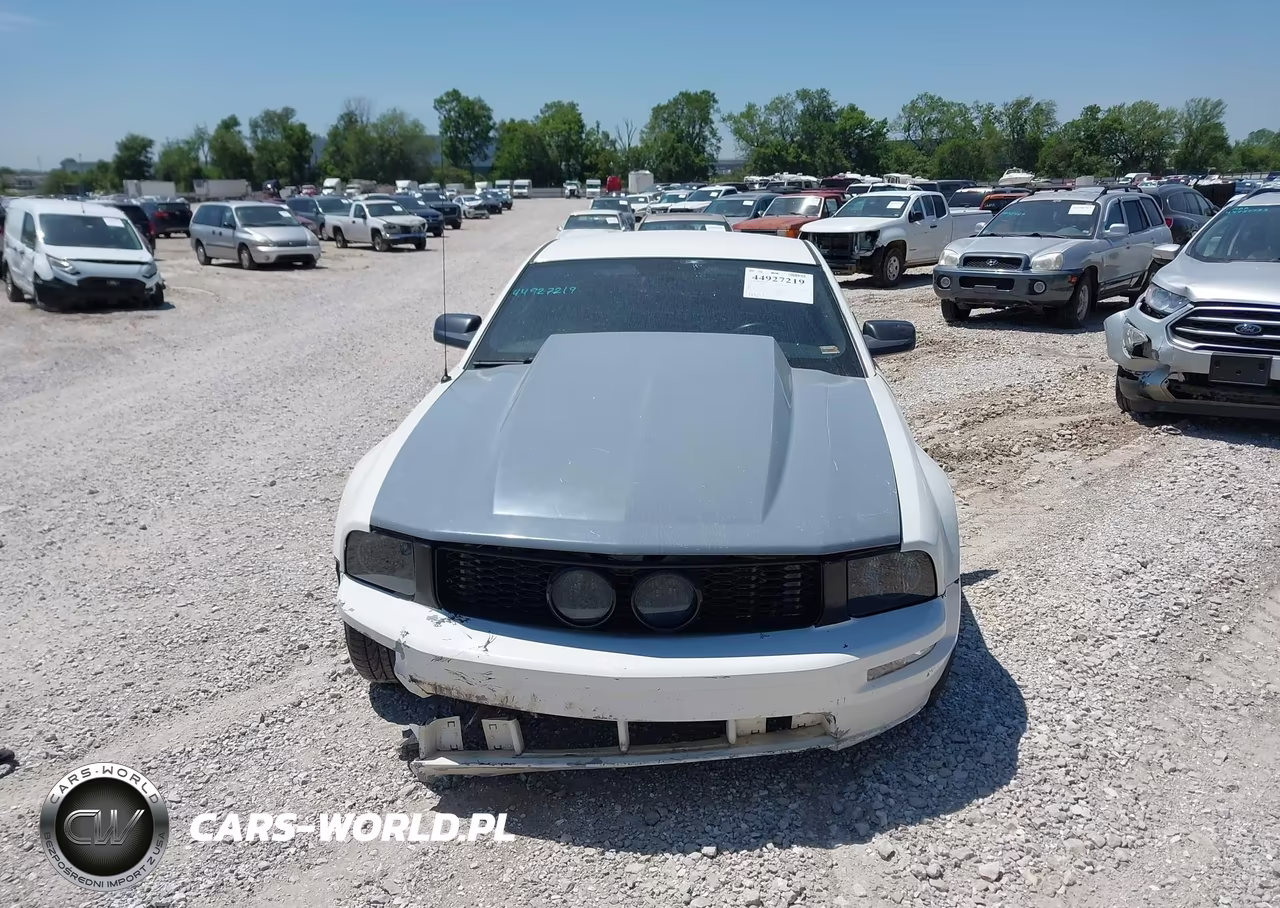 2008 Ford Mustang Gt Deluxe VIN:1ZVHT82H085193127 - 12