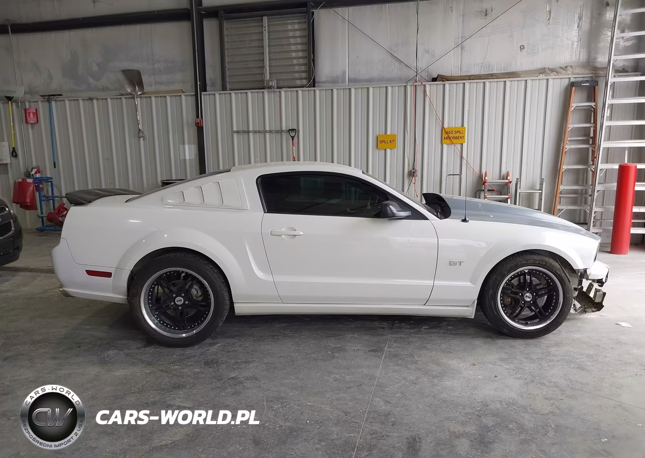 2008 Ford Mustang Gt Deluxe VIN:1ZVHT82H085193127 - 13