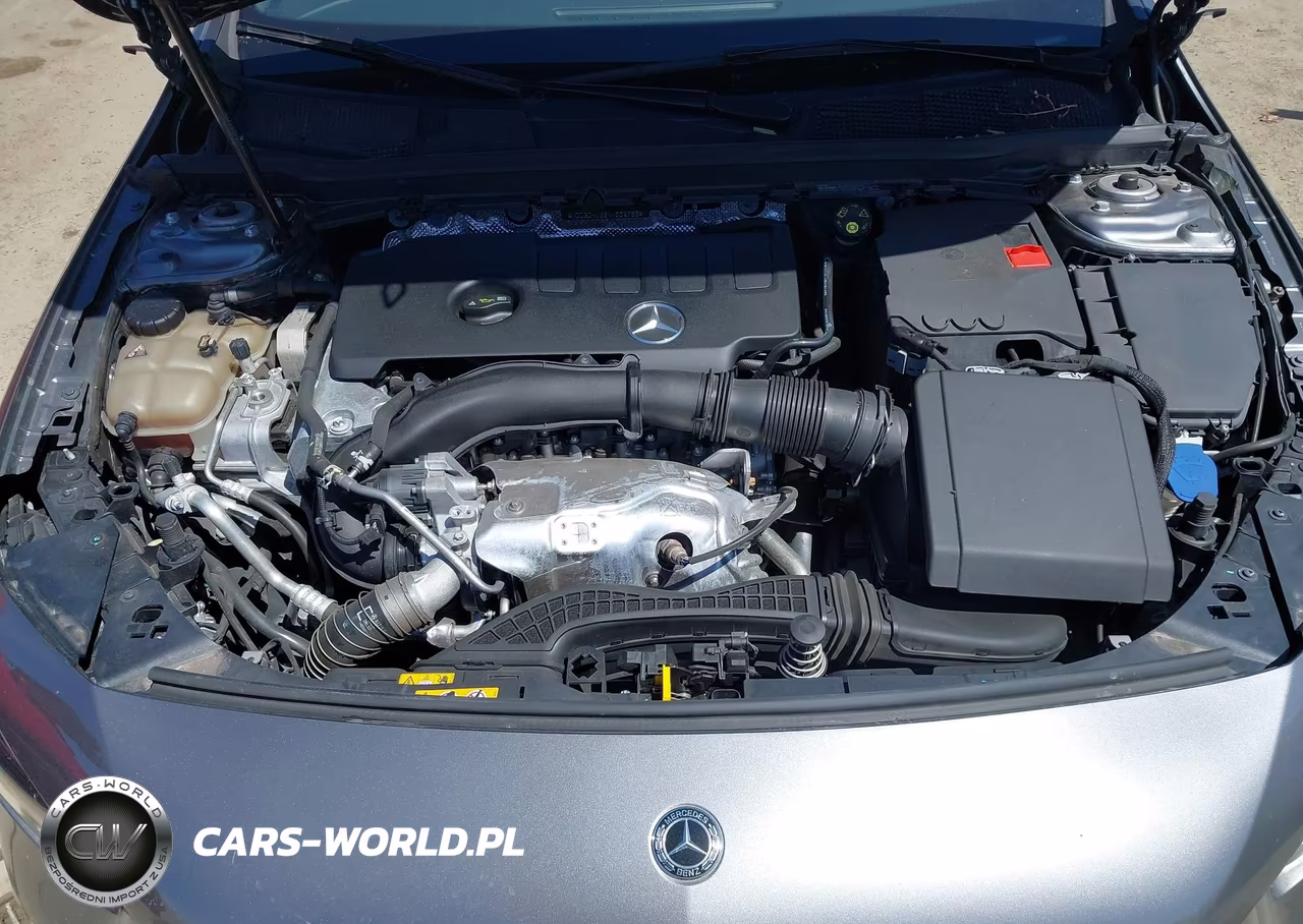 2019 Mercedes-Benz A 220 VIN:WDD3G4EB6KW002755 - 10