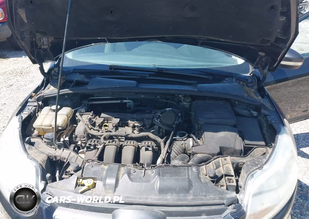2013 Ford Focus Se VIN:1FADP3K26DL275105 - 10