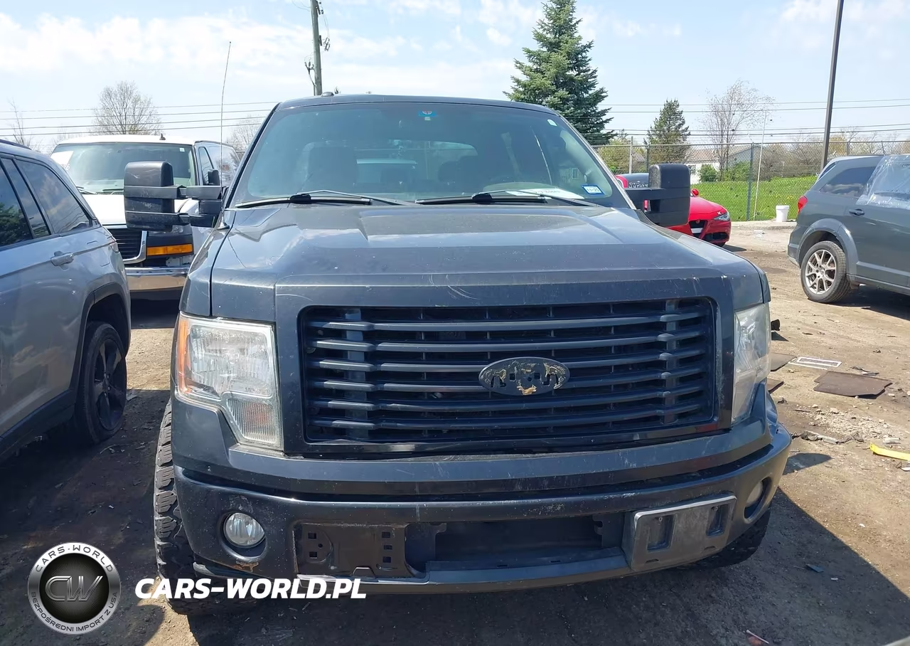 2014 Ford F-150 Stx VIN:1FTFW1CF1EKG47470 - 12