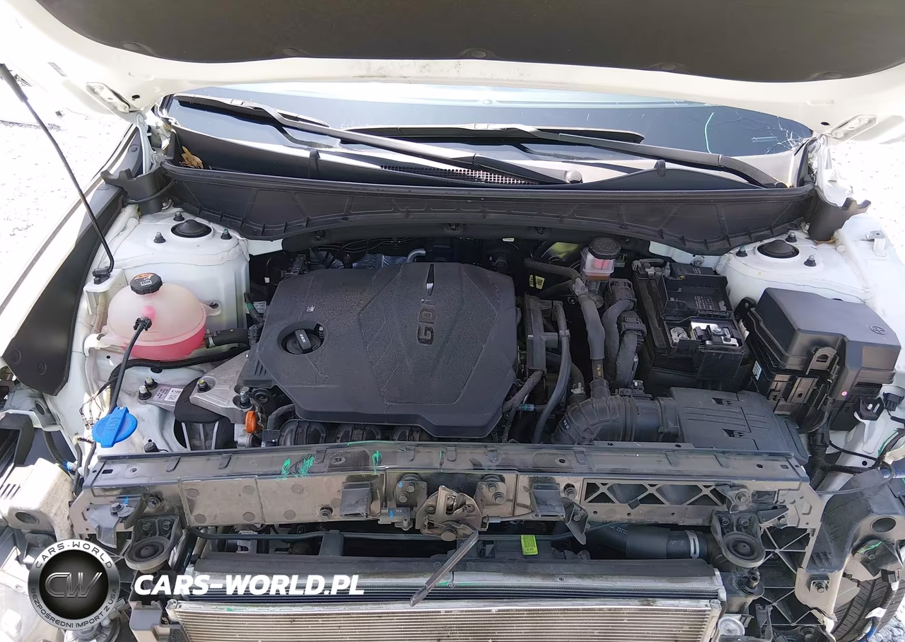 2023 Hyundai Santa Cruz Sel VIN:5NTJBDAE4PH065397 - 10