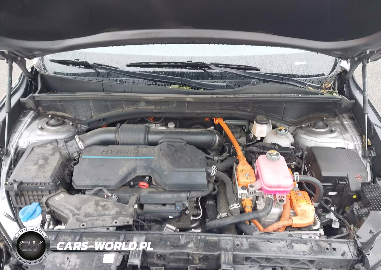 2023 Kia Sorento Hybrid Sx Prestige VIN:KNDRKDLG7P5208231 - 10