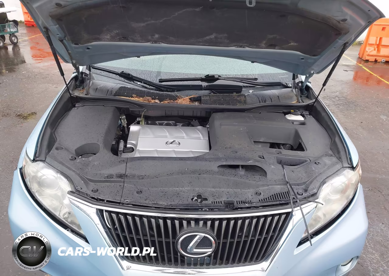 2010 Lexus Rx 350 VIN:2T2BK1BA2AC006819 - 10