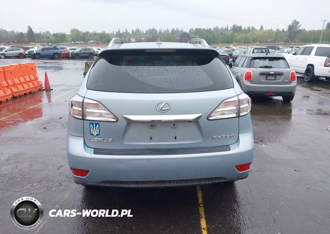 2010 Lexus Rx 350 VIN:2T2BK1BA2AC006819 - 16