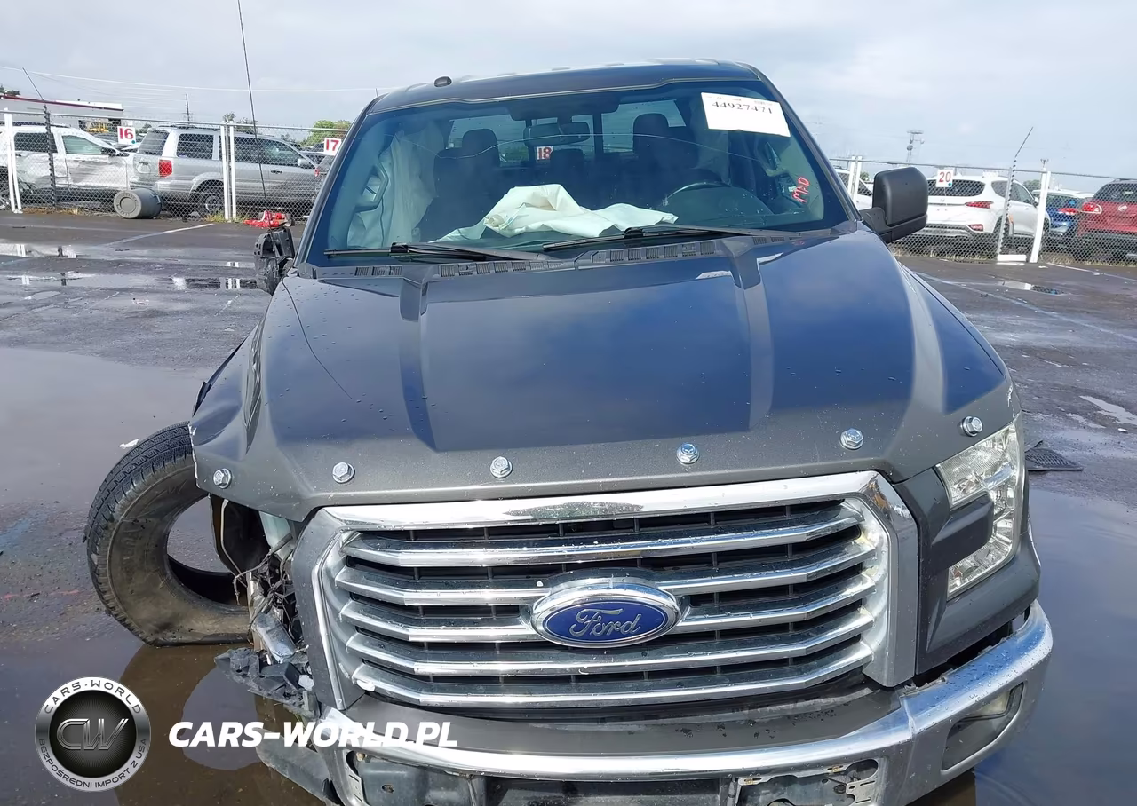 2016 Ford F-150 Xlt VIN:1FTEW1EG2GKD68484 - 13
