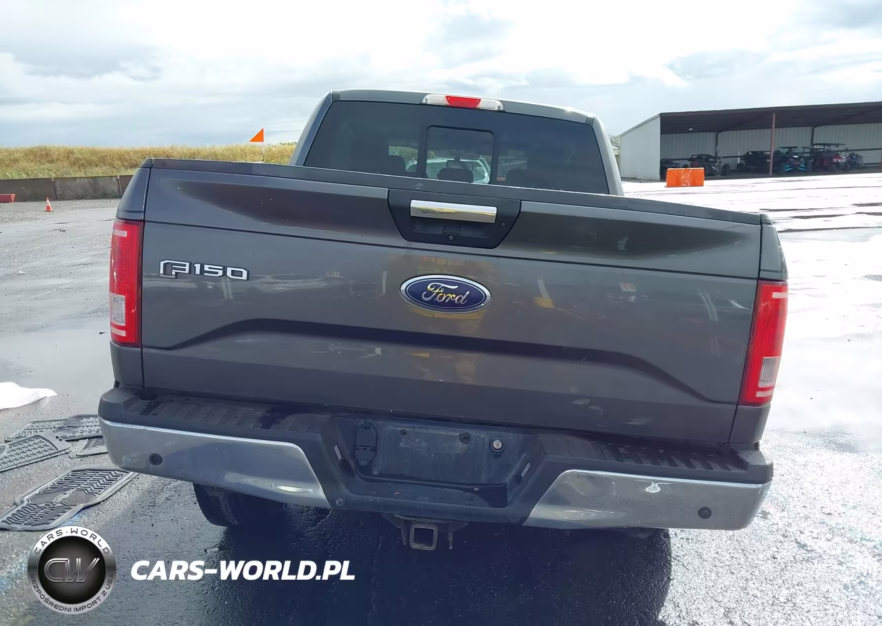 2016 Ford F-150 Xlt VIN:1FTEW1EG2GKD68484 - 17