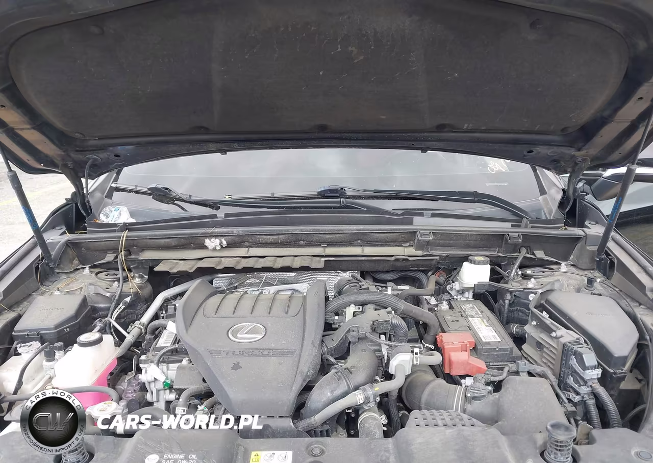 2022 Lexus Nx 350 F Sport Handling VIN:JTJKGCEZ8N2006439 - 10
