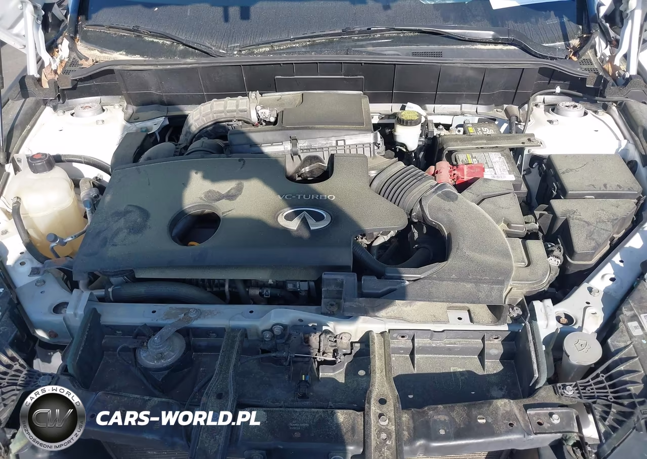 2019 Infiniti Qx50 Luxe VIN:3PCAJ5M1XKF135279 - 10