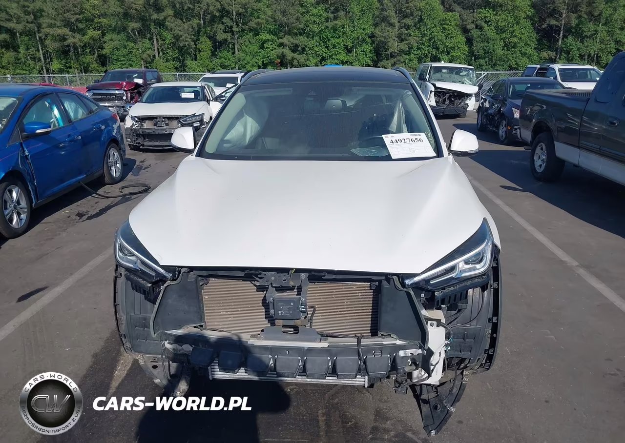 2019 Infiniti Qx50 Luxe VIN:3PCAJ5M1XKF135279 - 13
