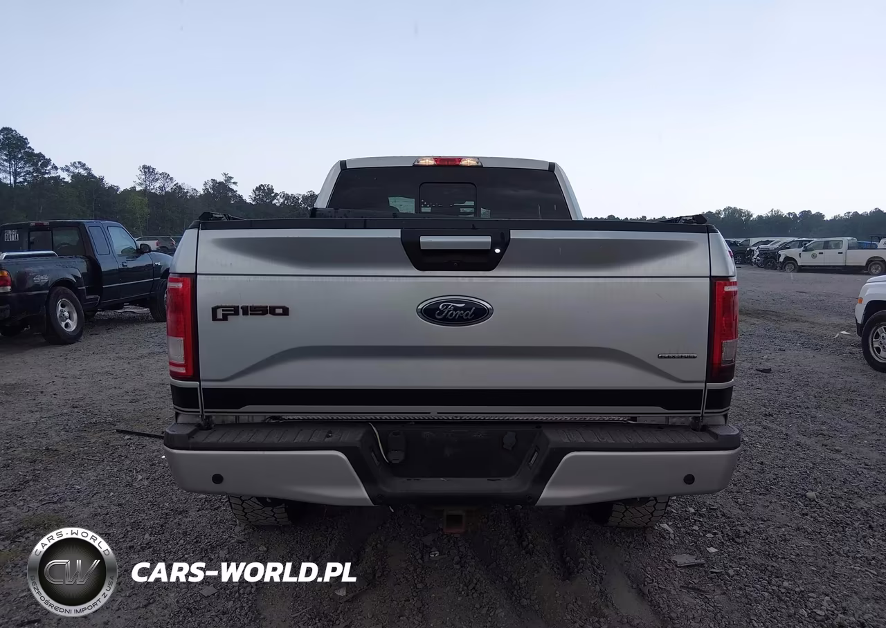 2016 Ford F-150 Xlt VIN:1FTFX1EF0GFD28566 - 16