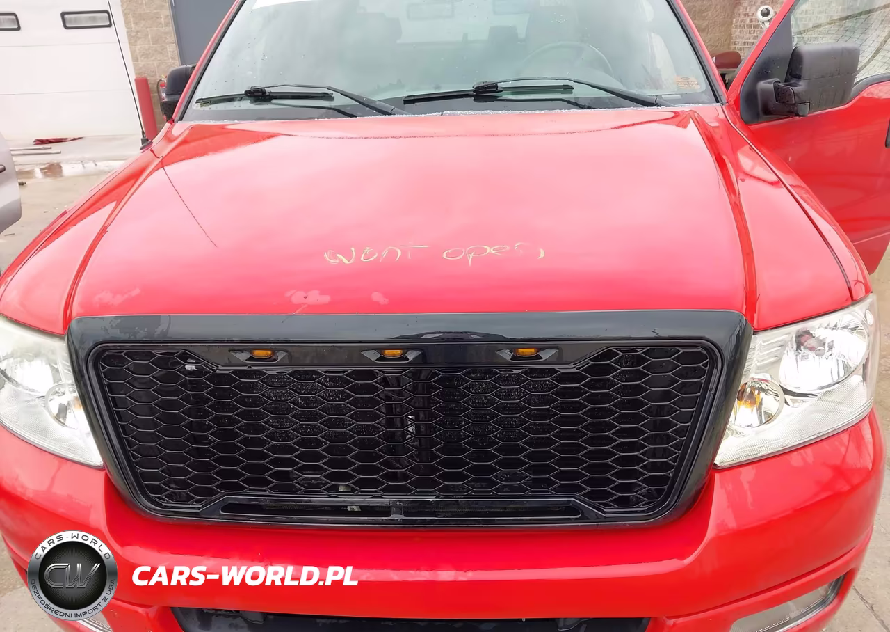 2004 Ford F-150 Fx4-Lariat-Xlt VIN:1FTPW145X4KB71261 - 10