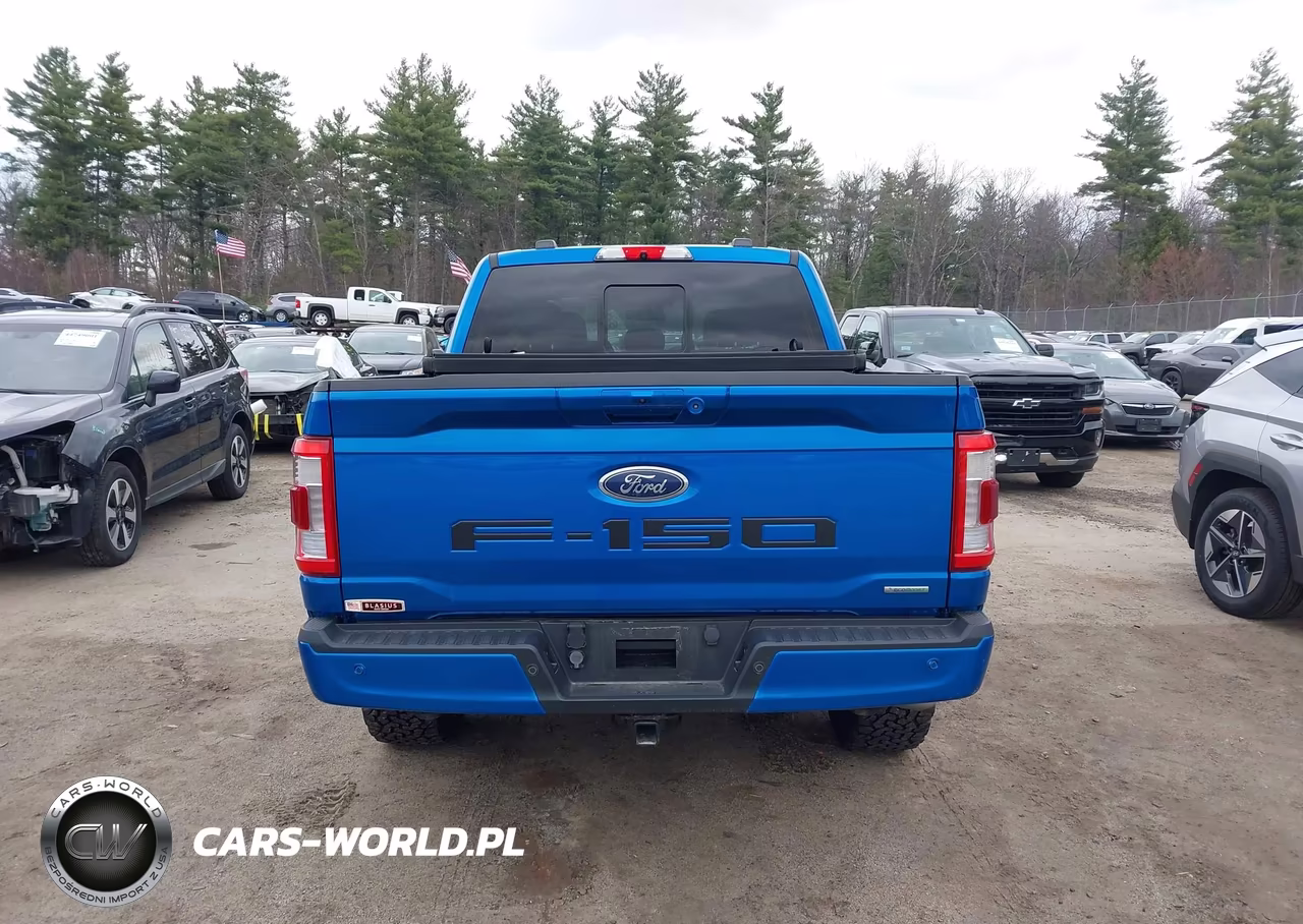 2021 Ford F-150 Lariat VIN:1FTEW1EP4MFB72633 - 17