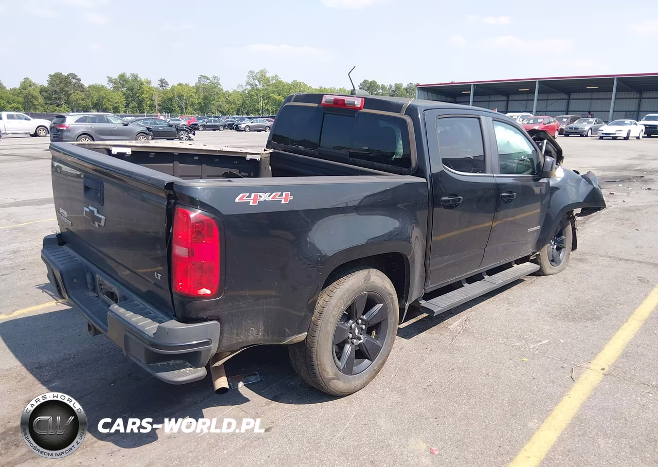 2016 Chevrolet Colorado Lt VIN:1GCGTCE39G1199841 - 4