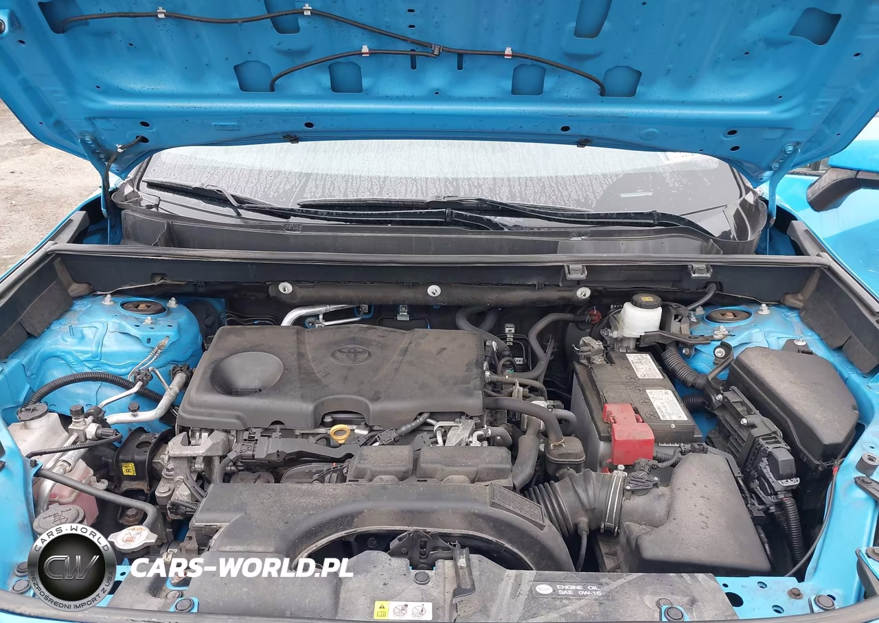 2019 Toyota Rav4 Le VIN:2T3G1RFV1KC028831 - 10