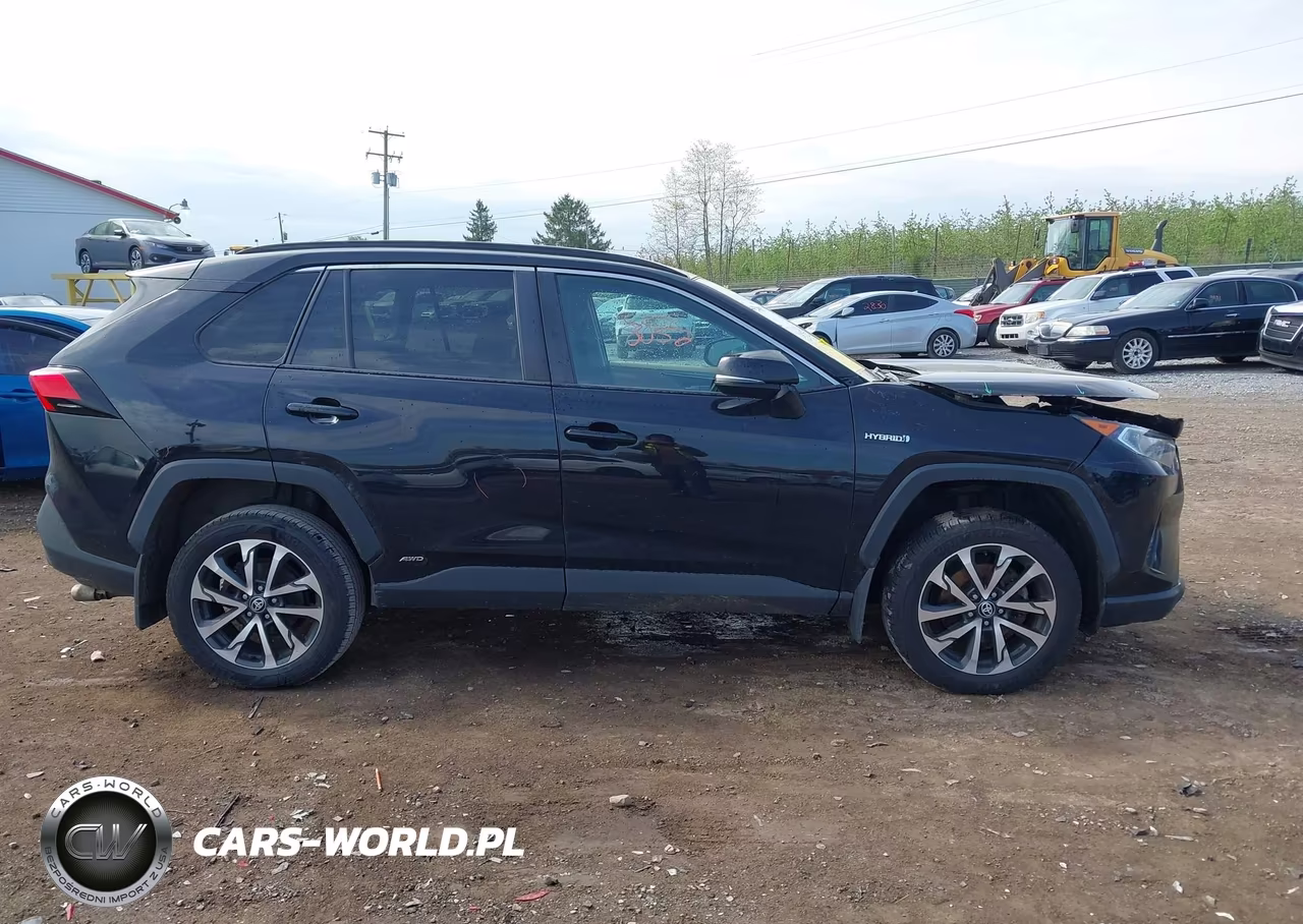 2019 Toyota Rav4 Hybrid Xle VIN:2T3RWRFV2KW017930 - 13