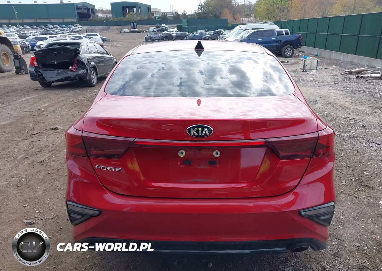 2020 Kia Forte Lxs VIN:3KPF24AD8LE248442 - 17