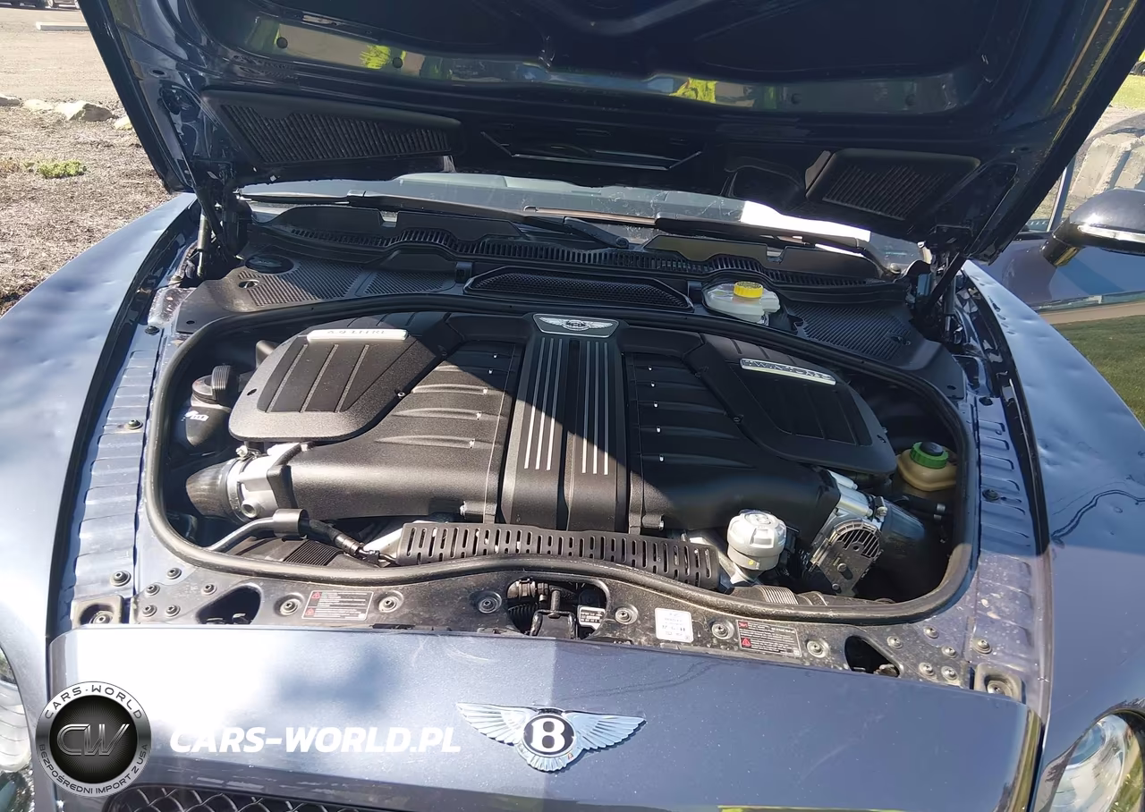 2017 Bentley Continental Gt Speed VIN:SCBFY7ZA5HC060280 - 10