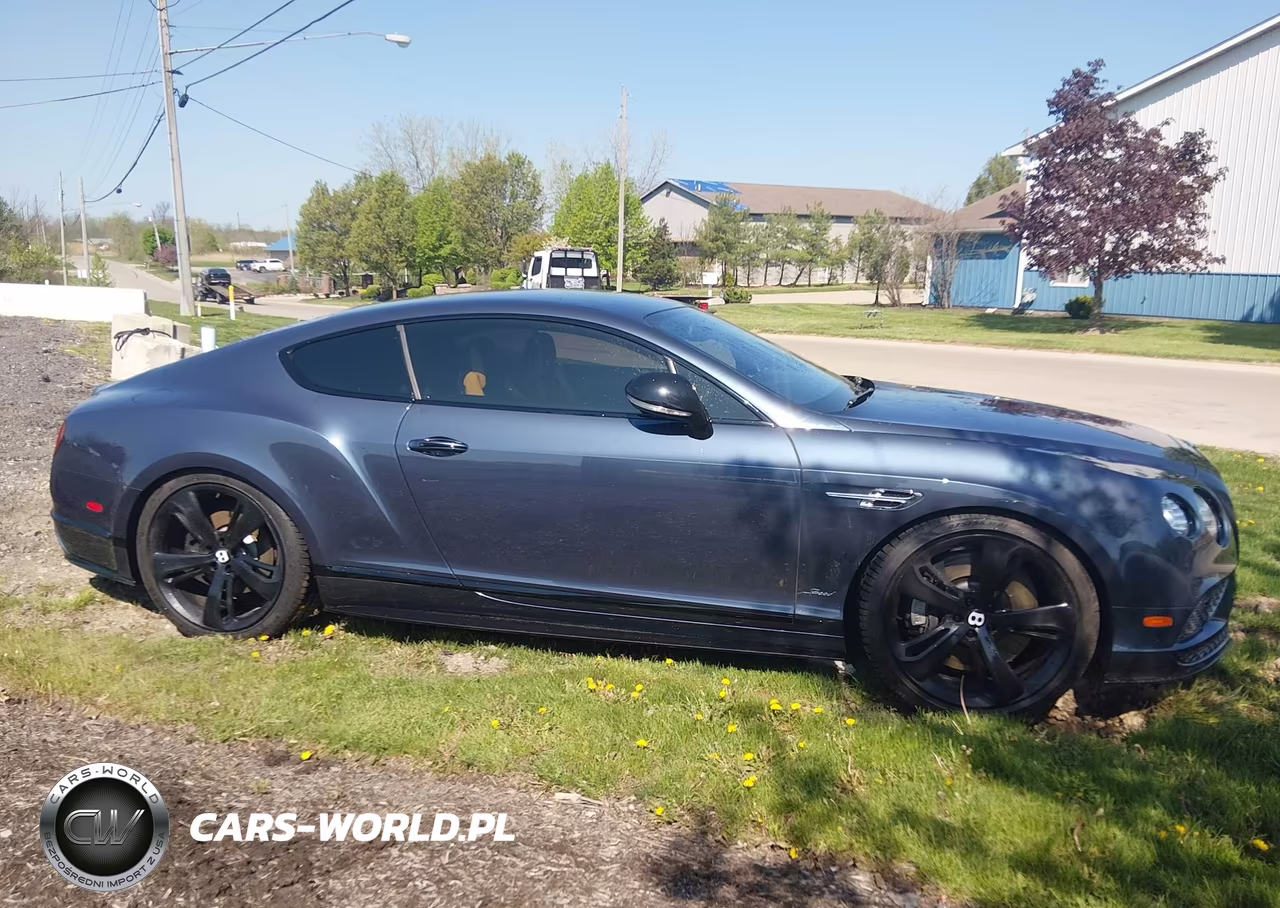 2017 Bentley Continental Gt Speed VIN:SCBFY7ZA5HC060280 - 13