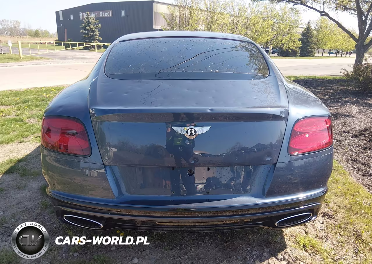 2017 Bentley Continental Gt Speed VIN:SCBFY7ZA5HC060280 - 16