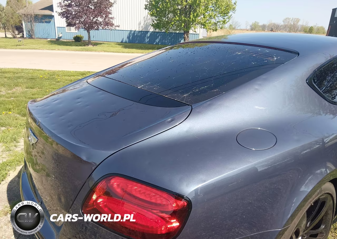 2017 Bentley Continental Gt Speed VIN:SCBFY7ZA5HC060280 - 17