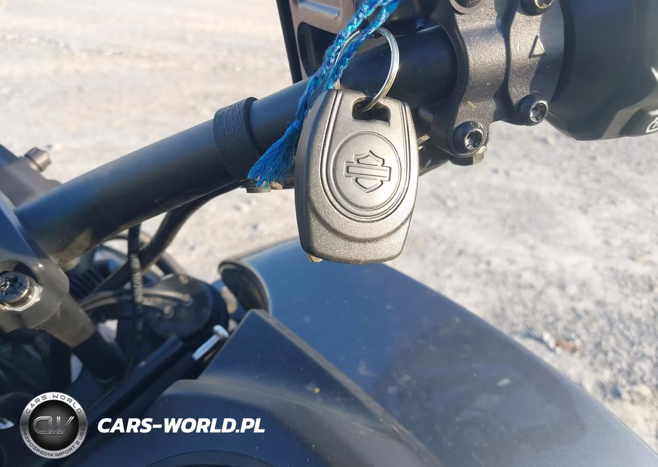 2021 Harley-Davidson Ra1250 S VIN:1HD1ZES11MB315671 - 11