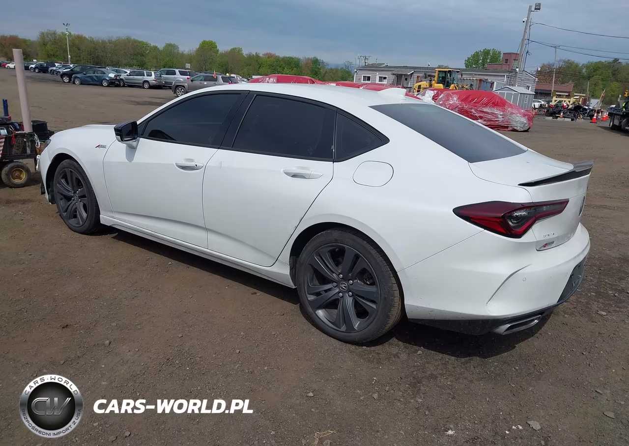 2023 Acura Tlx A-Spec Package VIN:19UUB6F51PA005490 - 3