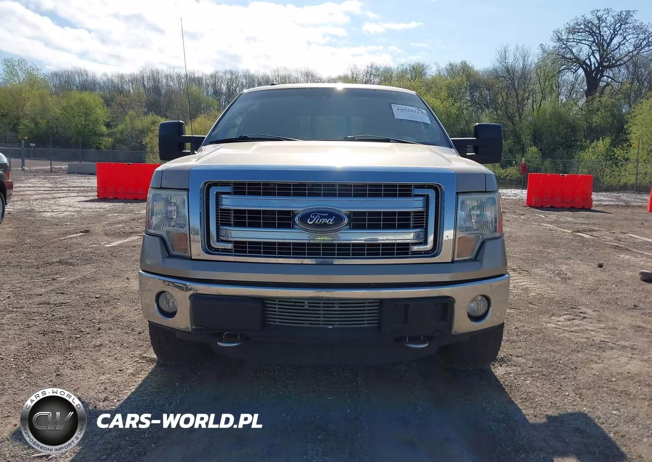 2013 Ford F-150 Xlt VIN:1FTFX1ET8DFA34026 - 12