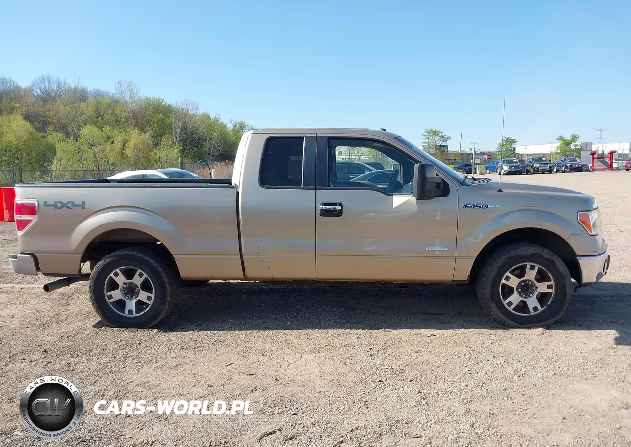 2013 Ford F-150 Xlt VIN:1FTFX1ET8DFA34026 - 13
