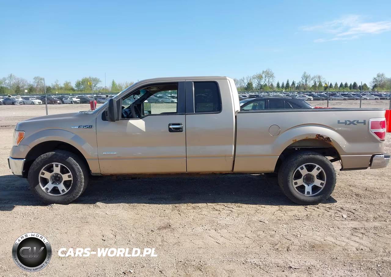 2013 Ford F-150 Xlt VIN:1FTFX1ET8DFA34026 - 14