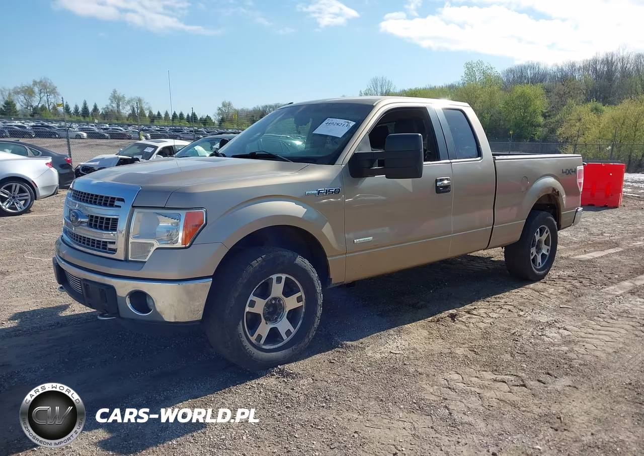 2013 Ford F-150 Xlt VIN:1FTFX1ET8DFA34026 - 2