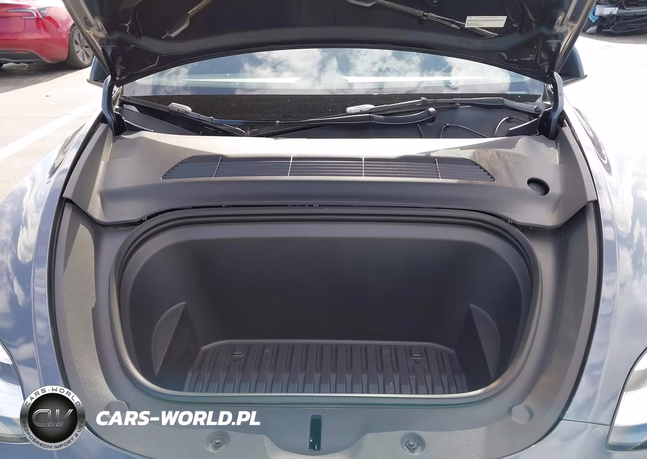 2023 Tesla Model Y VIN:7SAYGDEE7PA110646 - 10