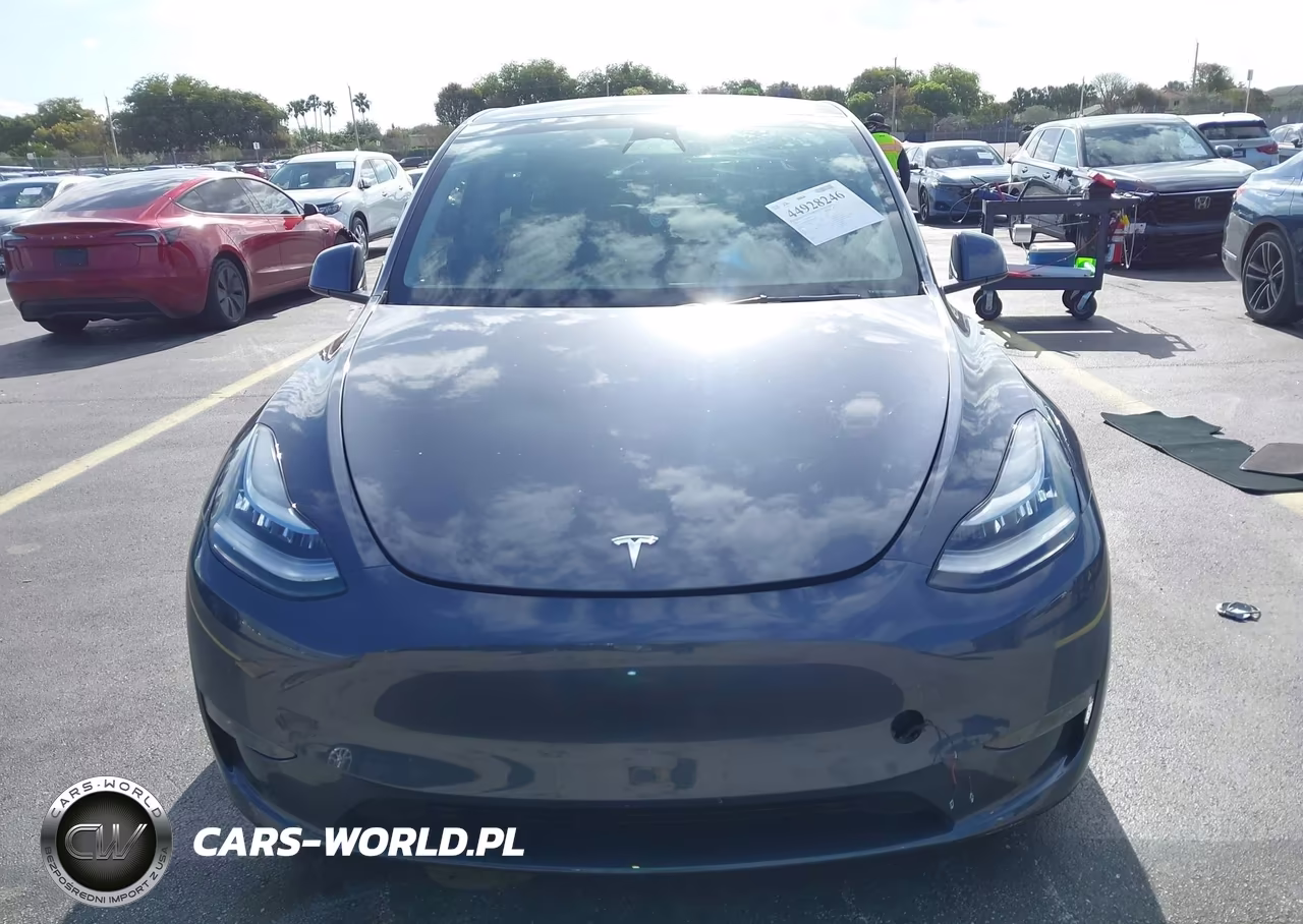 2023 Tesla Model Y VIN:7SAYGDEE7PA110646 - 12