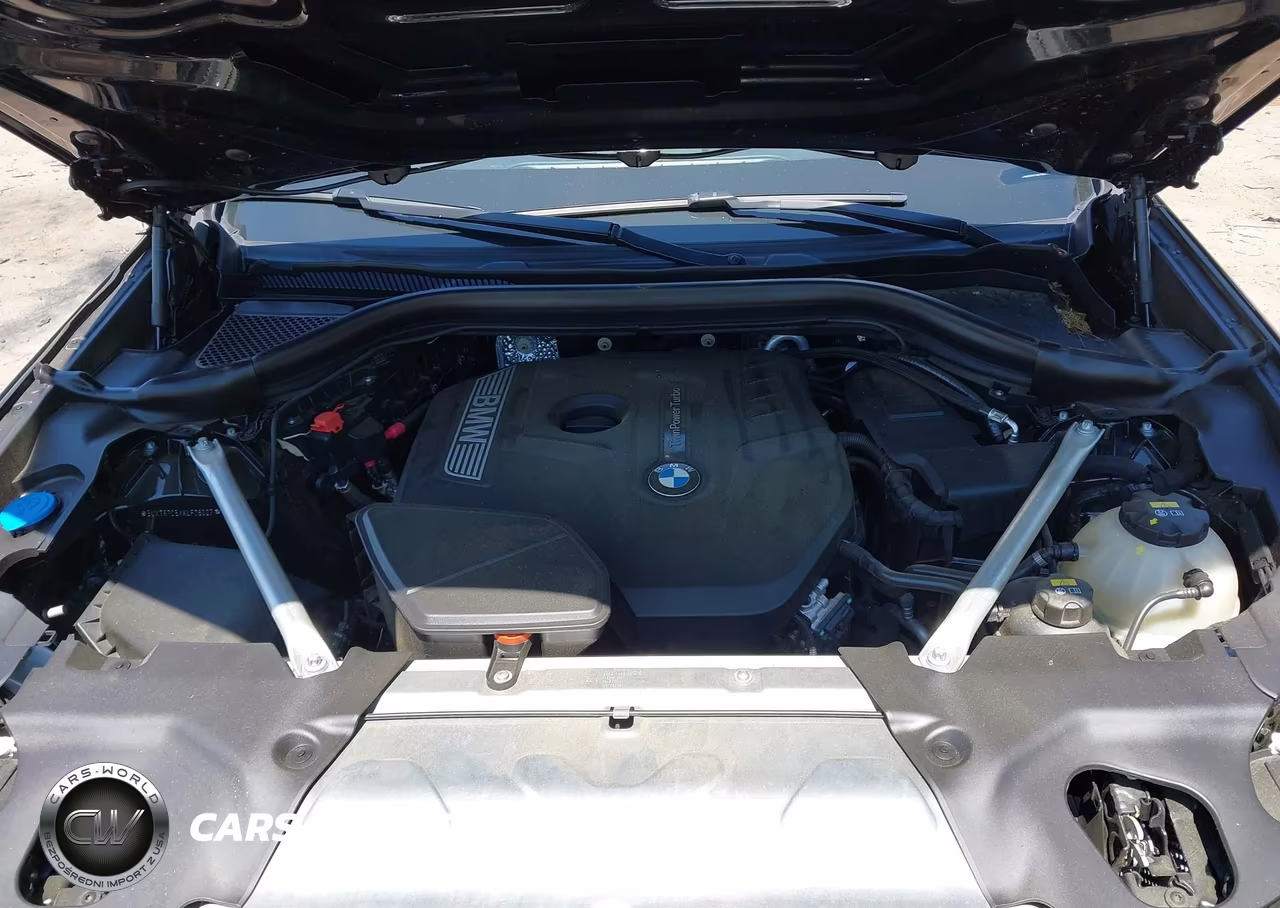2019 BMW X3 Sdrive30I VIN:5UXTR7C5XKLF26027 - 10