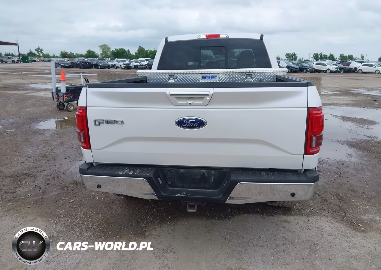 2016 Ford F-150 Lariat VIN:1FTFW1EG4GKE73547 - 17