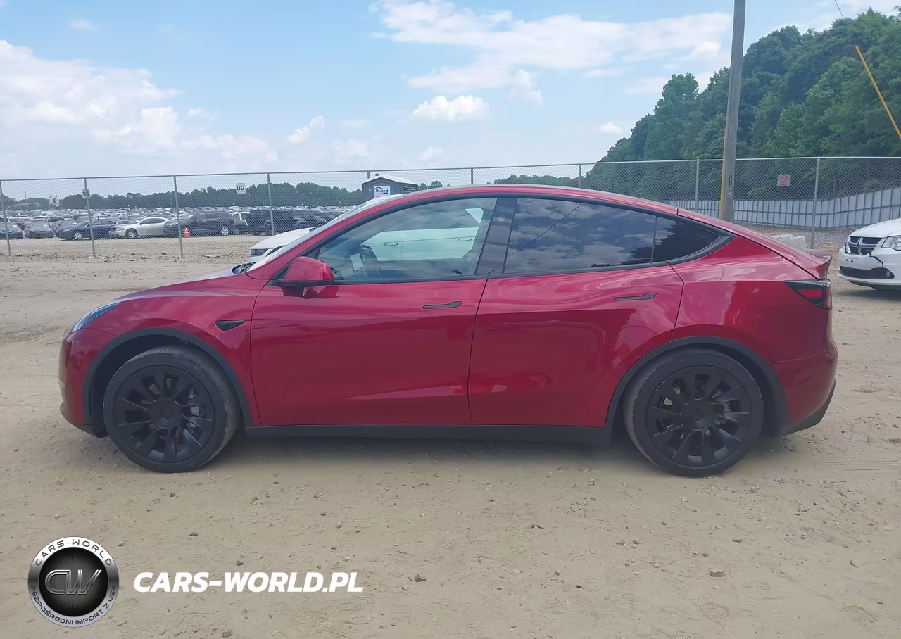 2025 Tesla Model Y Long Range Dual Motor All-Wheel Drive VIN:7SAYGDEE2SA344931 - 15