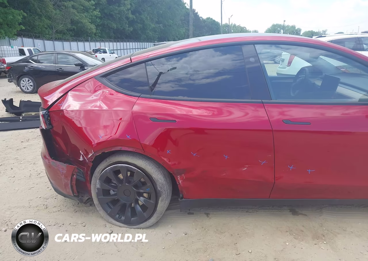 2025 Tesla Model Y Long Range Dual Motor All-Wheel Drive VIN:7SAYGDEE2SA344931 - 6